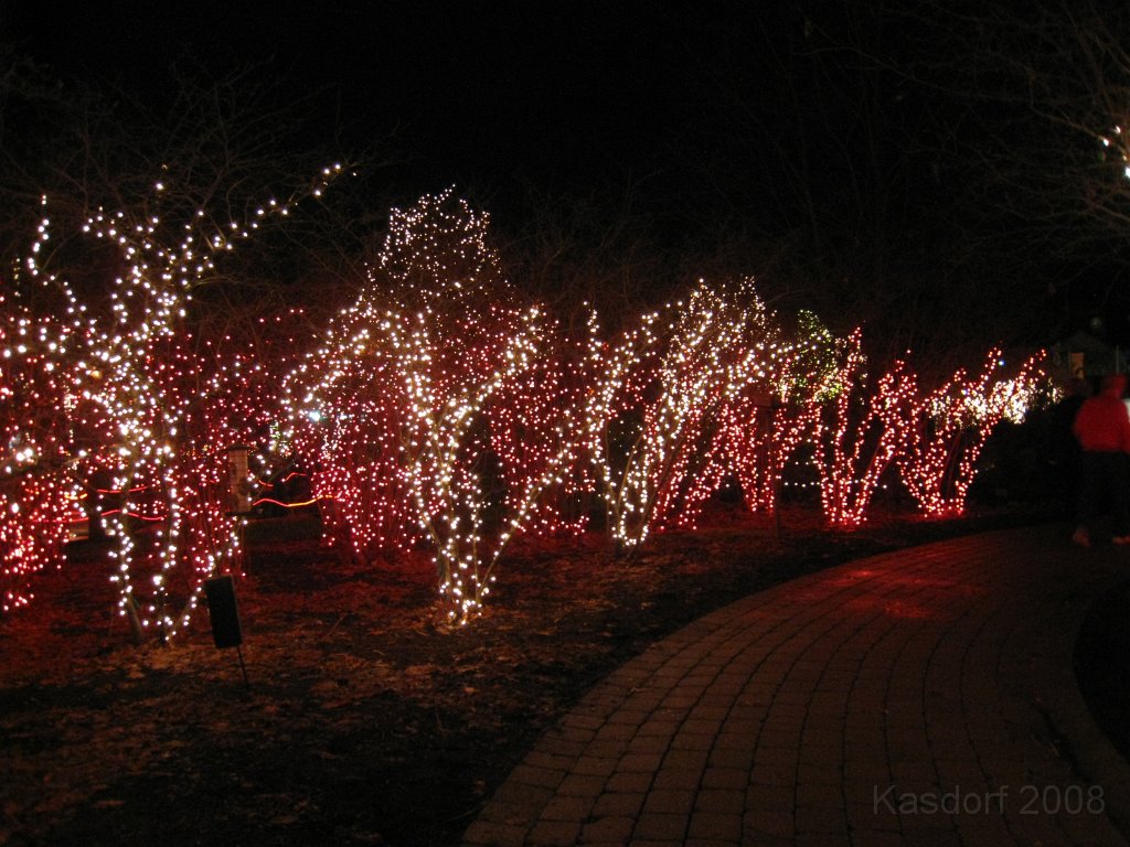 Toledo Zoo Lights 2008 048.jpg - The regular visit to the Toledo Ohio Zoo to see the Christmas Lights displays. New this trip were the "Dancing Lights", displays flashing in time with the Christmas Songs.